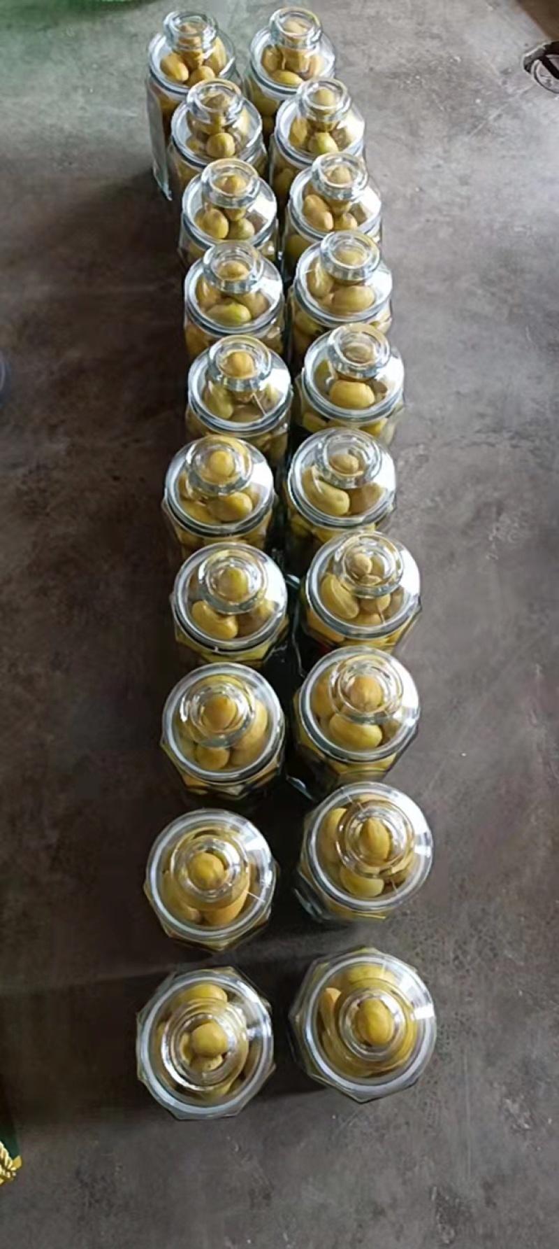全国网红热销微电商各种产品橄榄应有尽有产地直接对接