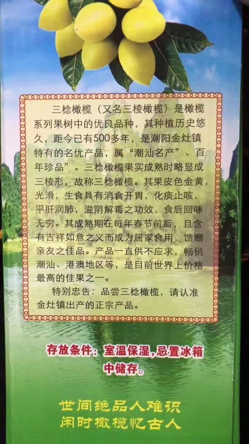 全国网红热销微电商各种产品橄榄应有尽有产地直接对接
