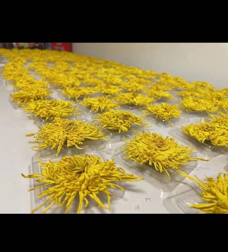 黄山金丝皇菊礼盒