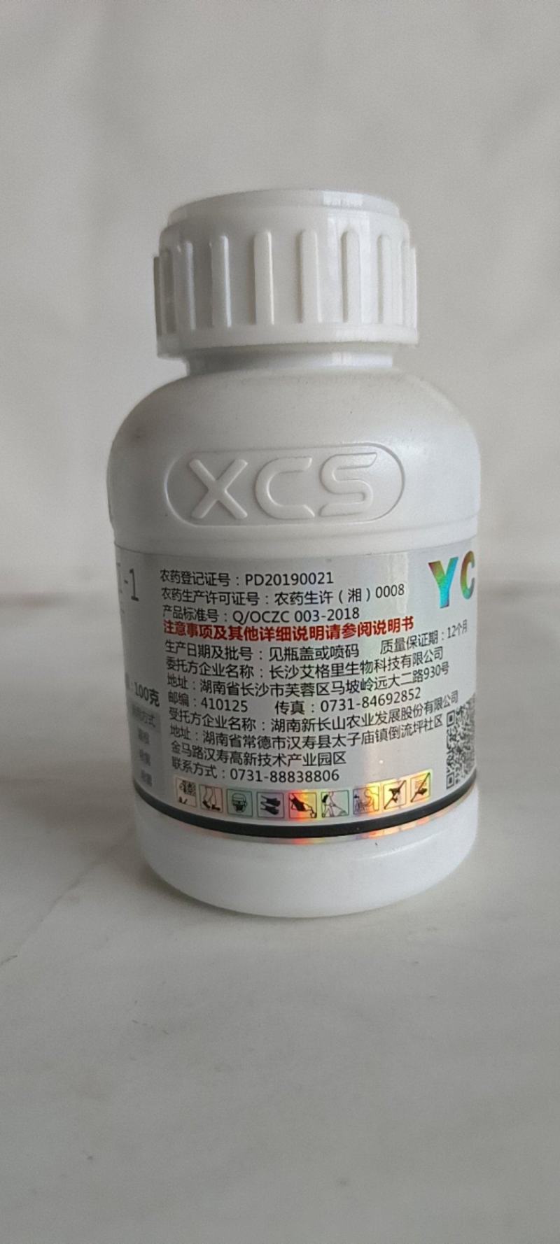 颜彩嗜硫小红卵菌能有效激活葱姜蒜韭菜内原让叶片增厚更浓绿