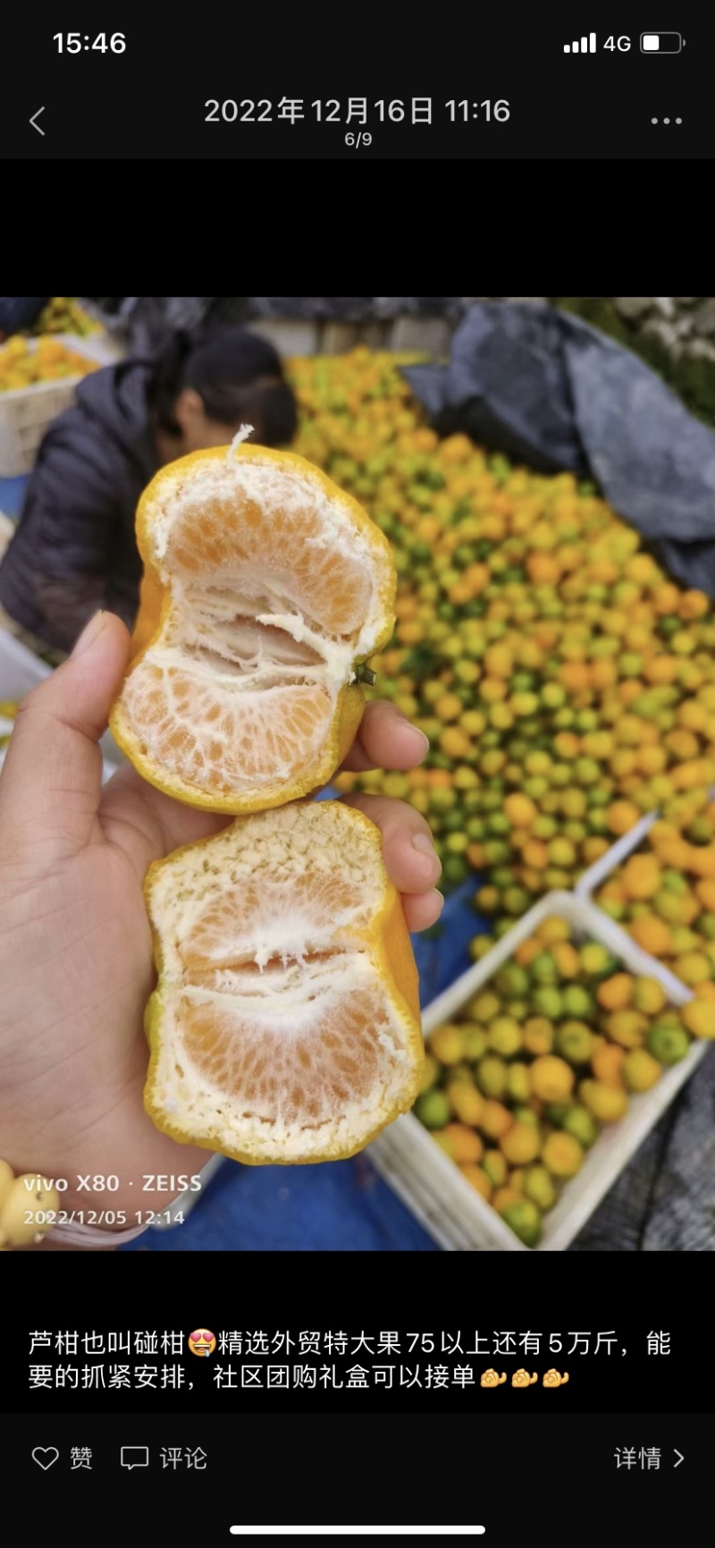 精品芦柑，高山产地货源，农户一手货源，大量供应…………