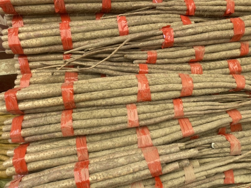 精品西施山药