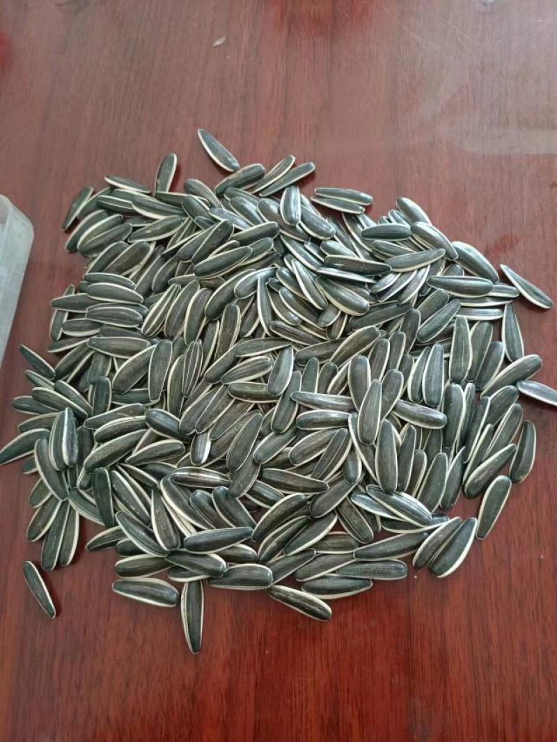 谷丰90千粒255，生货皮毛40吨