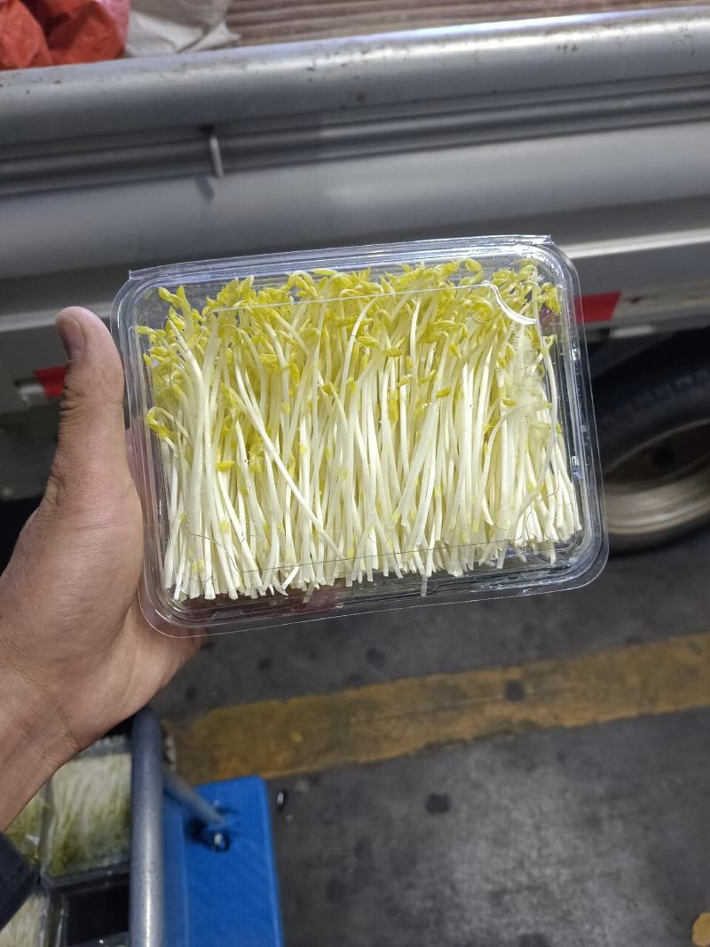 新鲜芽菜豌豆苗