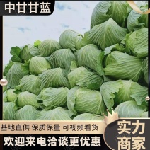 【中甘甘蓝】西昌产区大量上市欢迎全国客户前来订购