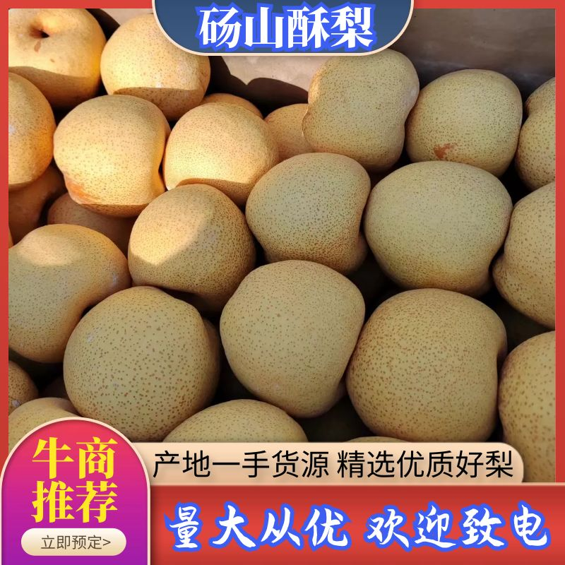 砀山酥梨产地一手货源价格美丽欢迎来电咨询