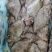 石斑鱼月亮鱼原料成品全系规格一根大刺