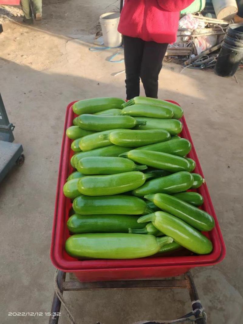 产地直发种植大户