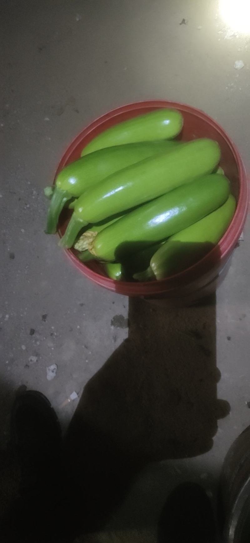 产地直发种植大户