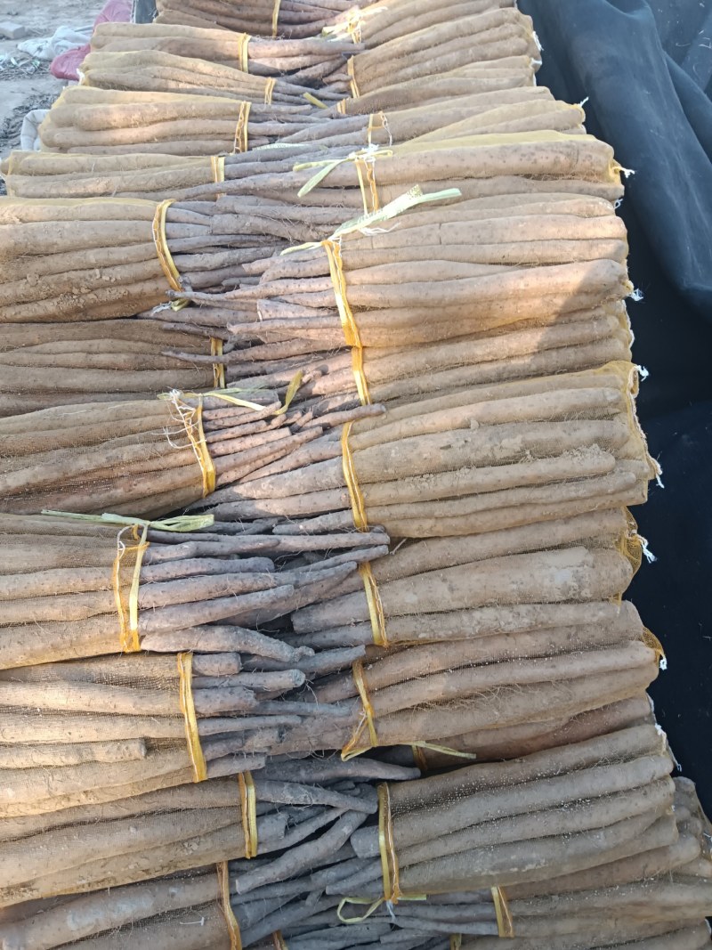 大名县好网袋山药