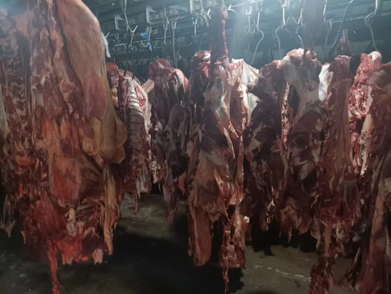 全牛肉
