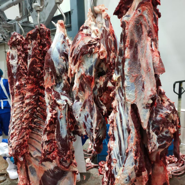 全牛肉