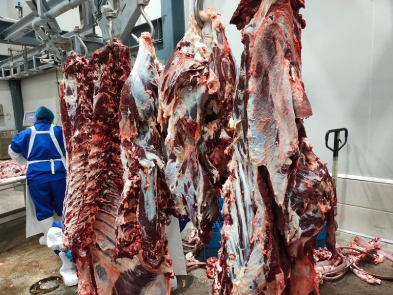 全牛肉