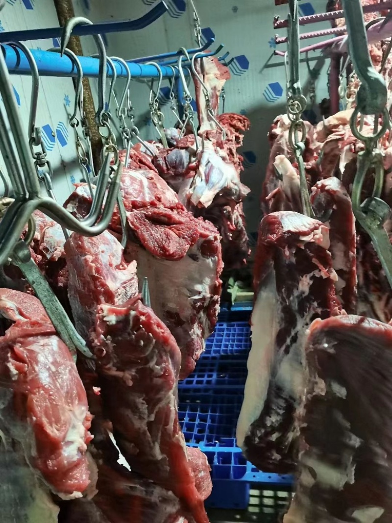 全牛肉