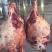 全牛肉