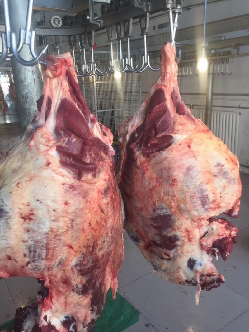 全牛肉