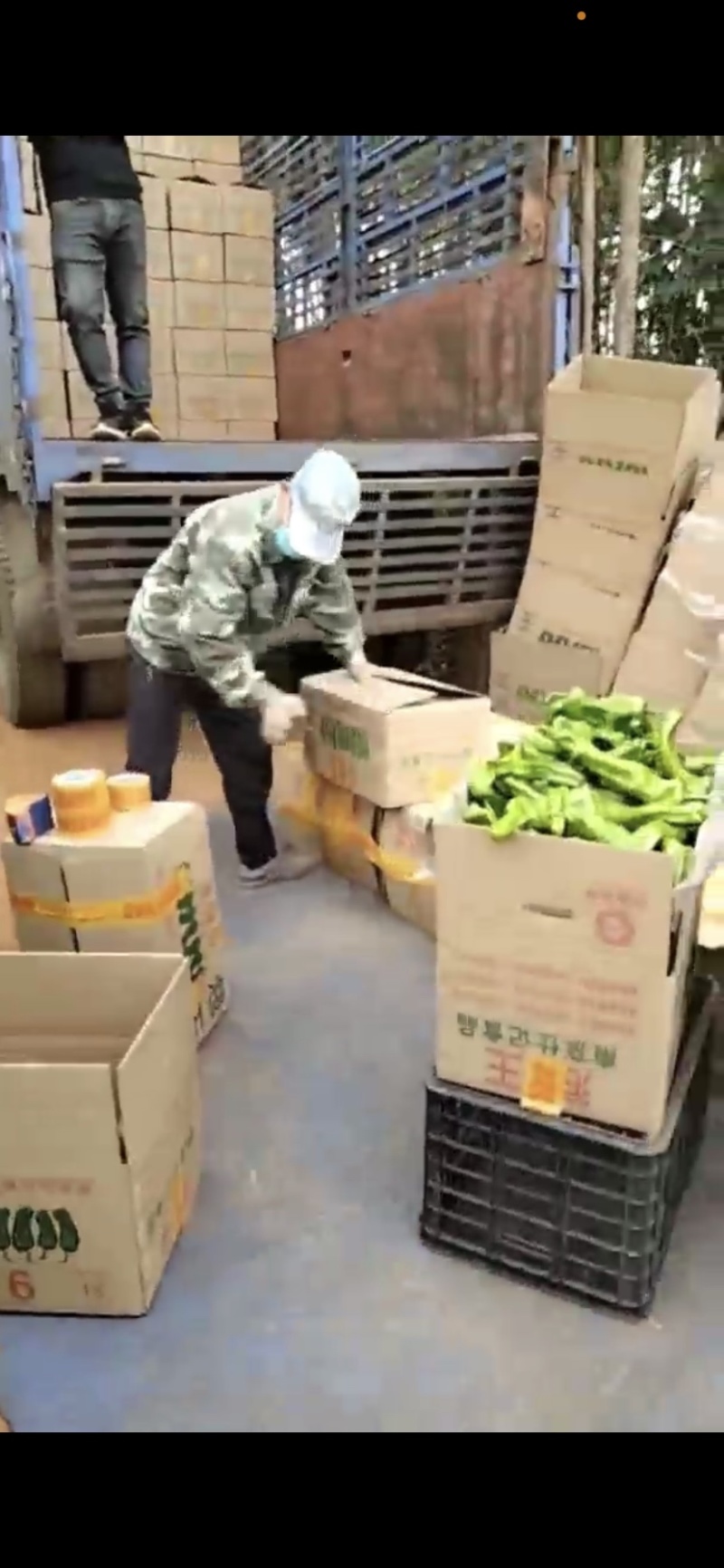【牛】徐闻县精品鲜辣椒，尖椒量大价优，可整车批发