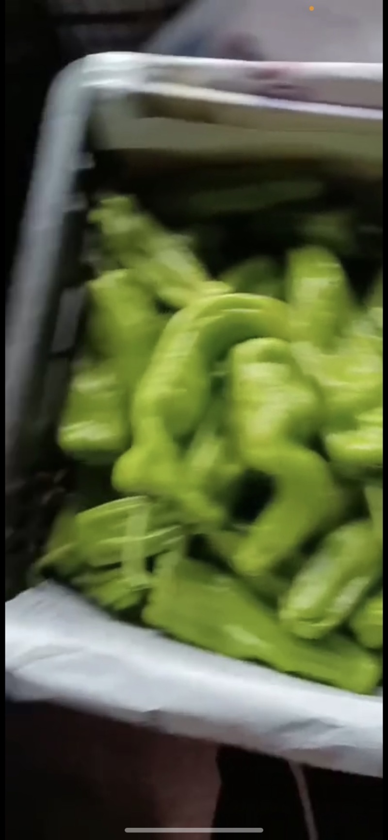 【牛】徐闻县精品鲜辣椒，尖椒量大价优，可整车批发