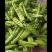 【牛】徐闻县精品鲜辣椒，尖椒量大价优，可整车批发