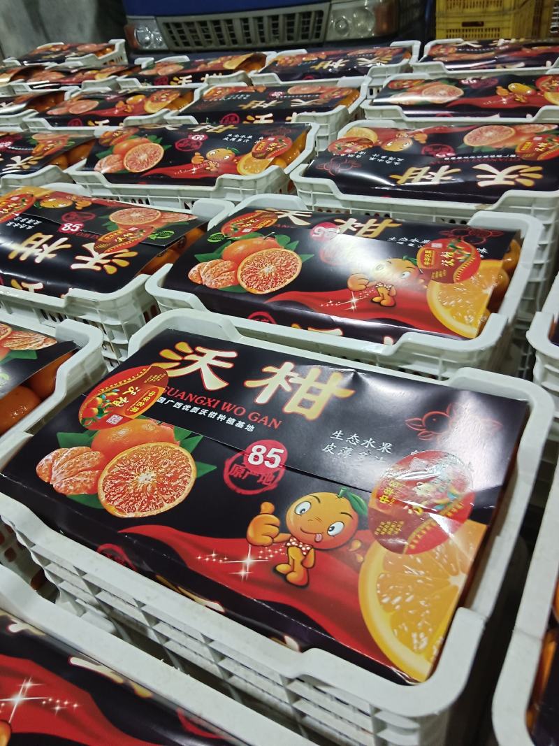 广西沃柑上市了，鲜甜化渣，果实饱满产地直发，(实力代班)
