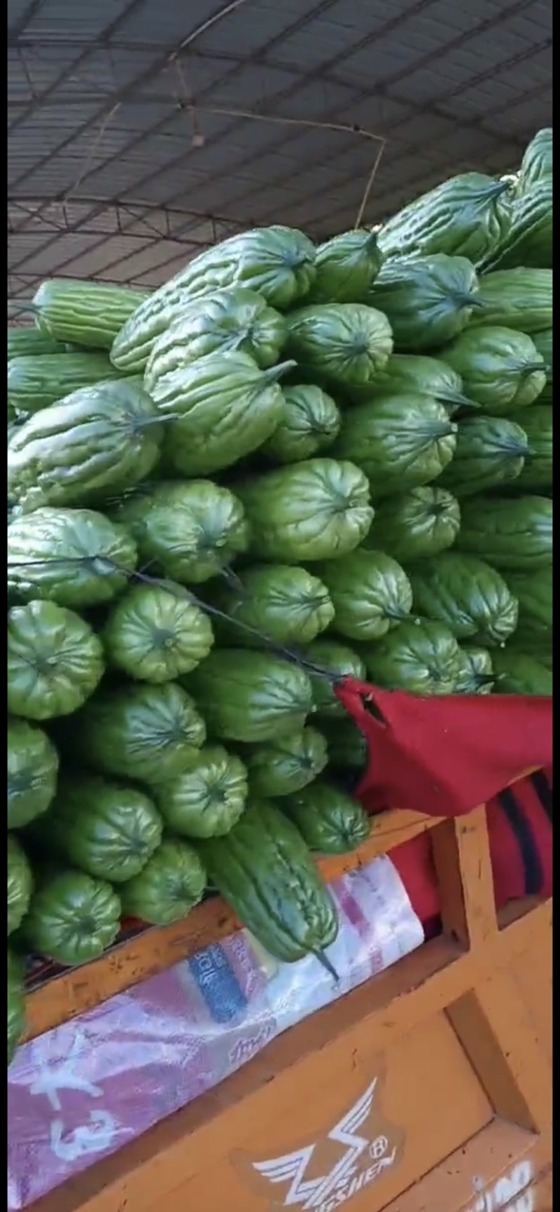 【精品】徐闻县苦瓜批发，可走整车，量大价优，欢迎来电咨询