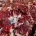 牛碎肉，灌牛肠，牛肉馅佳品，适用于火锅店，牛肉包子铺
