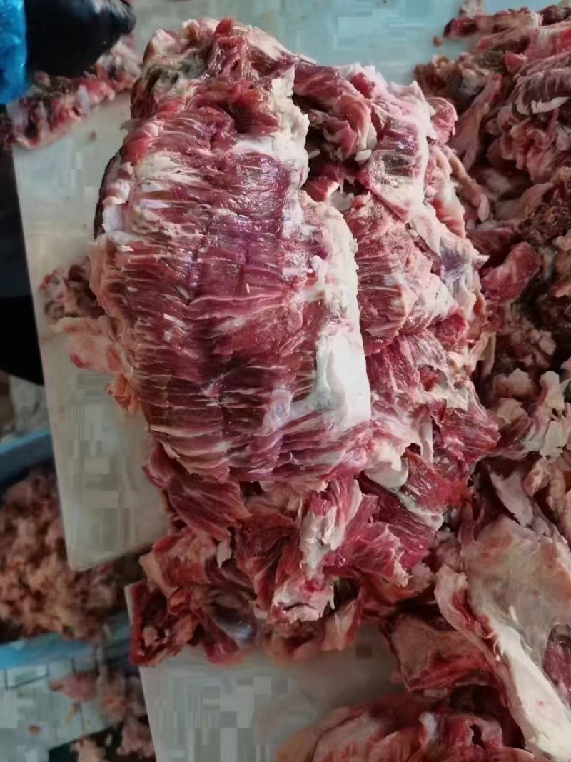 牛碎肉，灌牛肠，牛肉馅佳品，适用于火锅店，牛肉包子铺