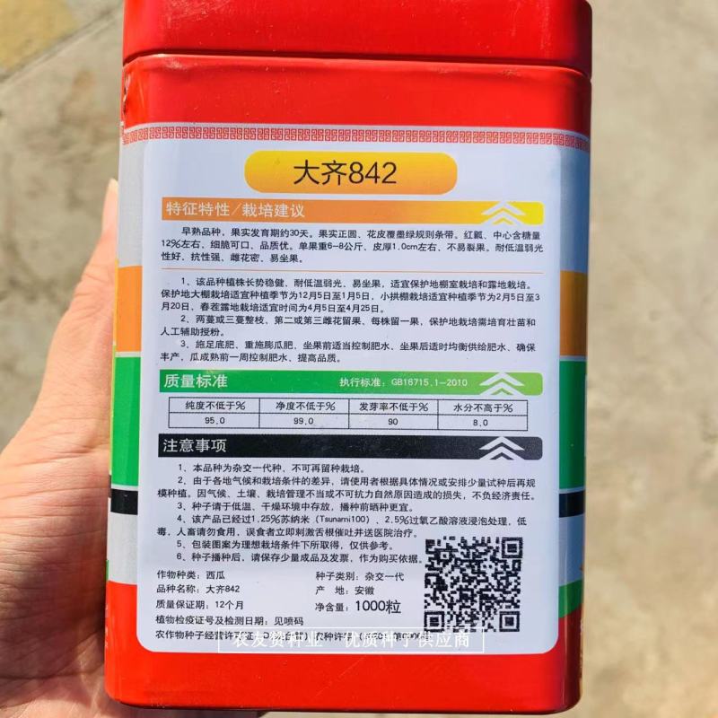 大齐冰糖麒麟8424西瓜种子，耐低温不易裂果正圆花皮西瓜