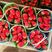 精品甜宝草莓青岛平度原产地货源充足量大价优欢迎下单