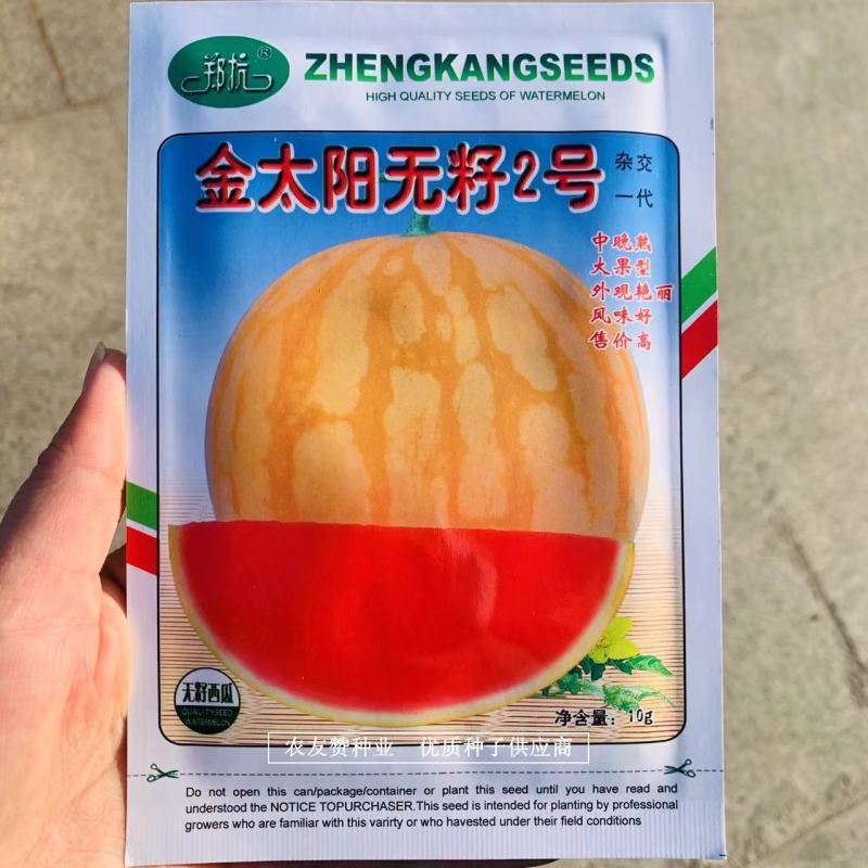 高品质金太阳无籽2号西瓜种子大果黄皮红心无籽西瓜种子