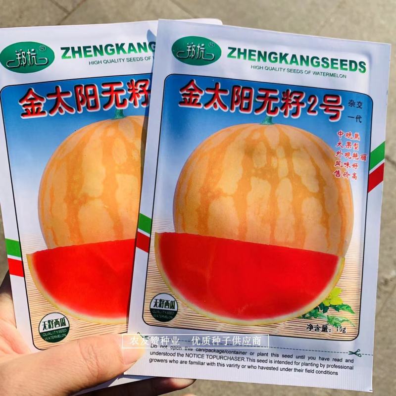 高品质金太阳无籽2号西瓜种子大果黄皮红心无籽西瓜种子
