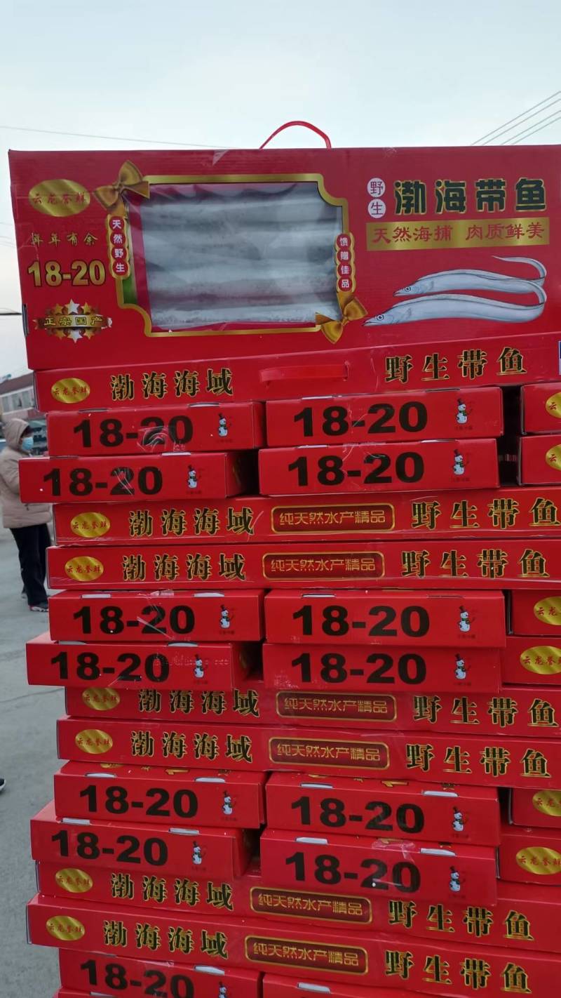 舟山带鱼天窗礼盒各种规格型号都有，量大从优，舟山带鱼