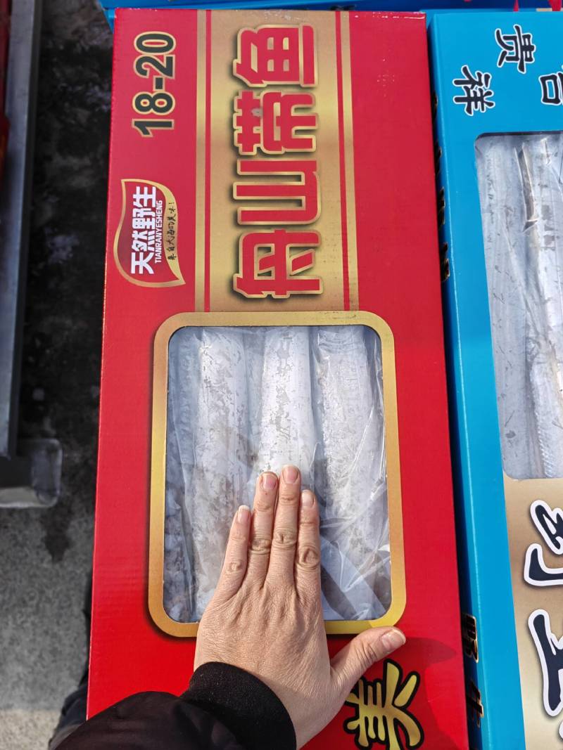 舟山带鱼天窗礼盒各种规格型号都有，量大从优，舟山带鱼