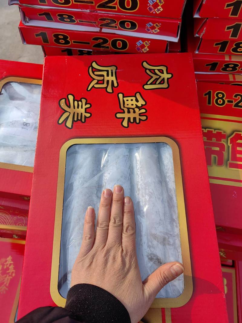 舟山带鱼天窗礼盒各种规格型号都有，量大从优，舟山带鱼