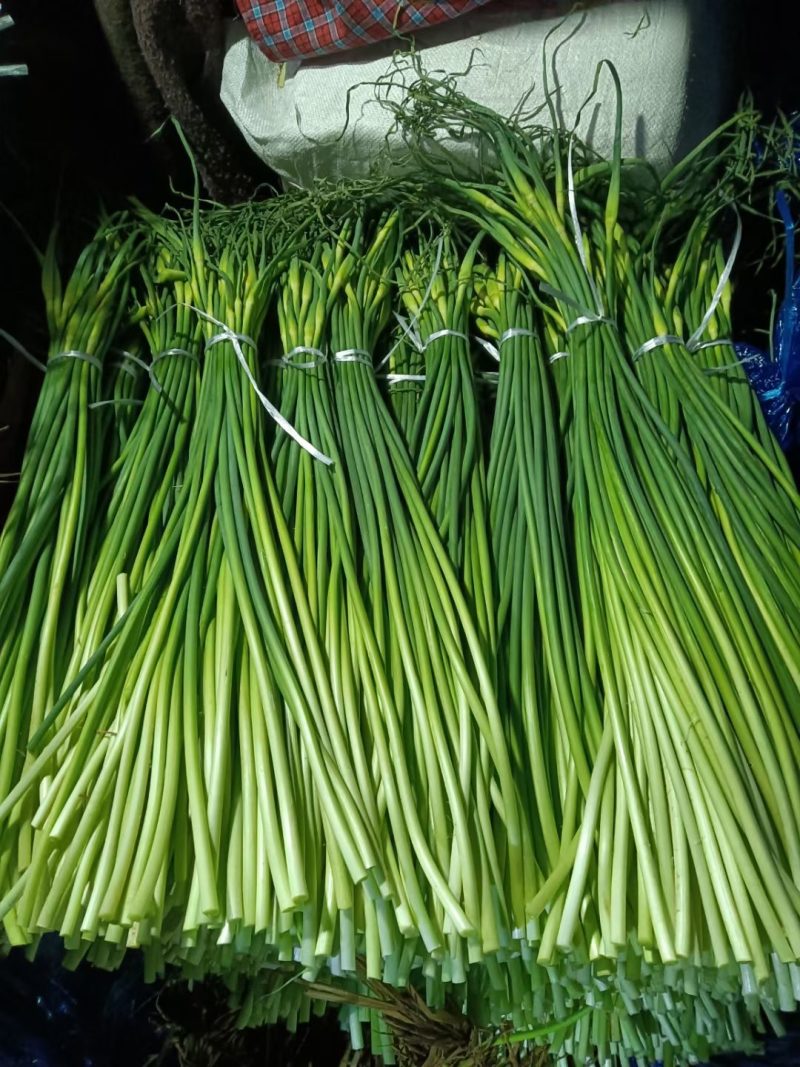 冷库批发精品白苔，红苔蒜苔，市场.超市.电商货，坏烂包赔