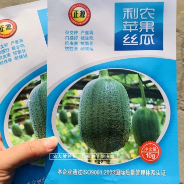 能生吃的丝瓜品种利农苹果丝瓜种子高产抗病强耐储运基地种