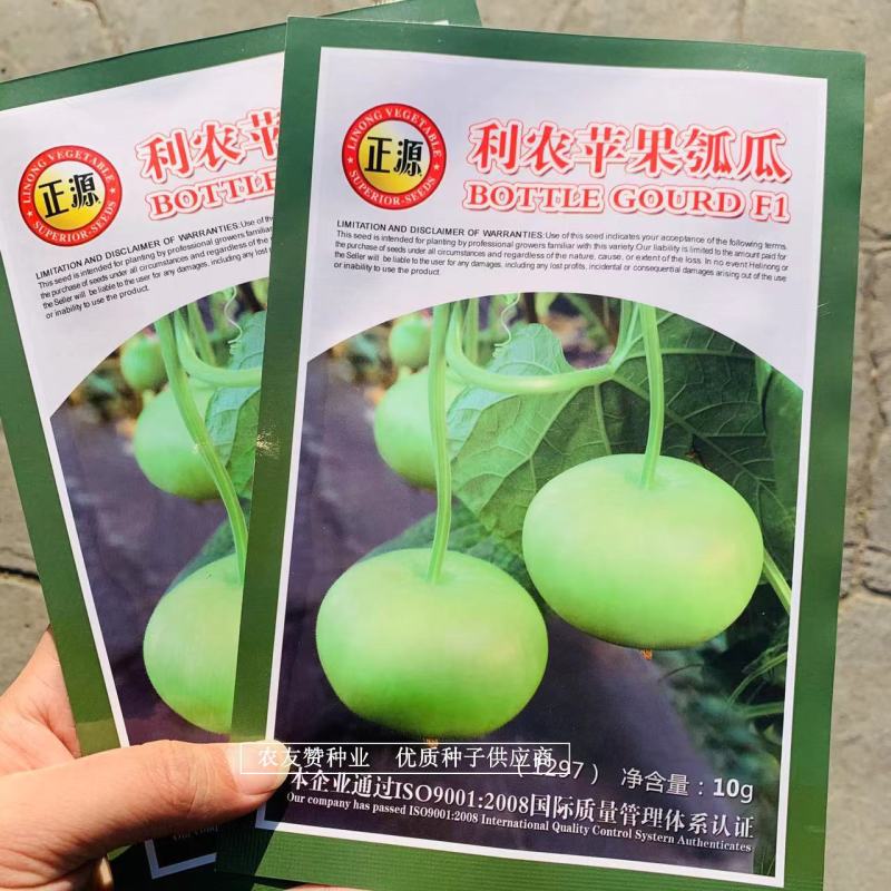 利农苹果瓠瓜种子扁圆形瓜色油绿光泽，蒲瓜种苹果瓠子瓜种子
