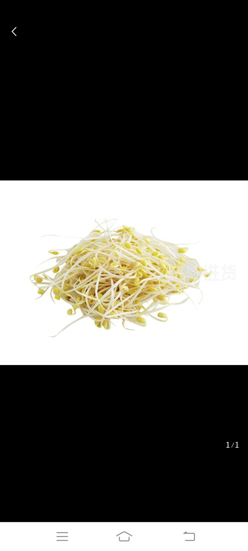 黄豆芽