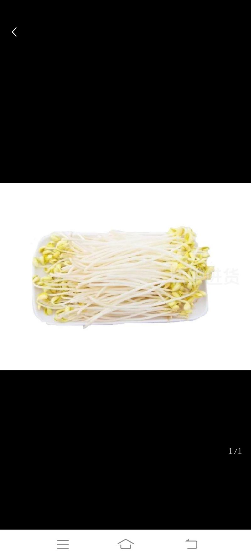 黄豆芽