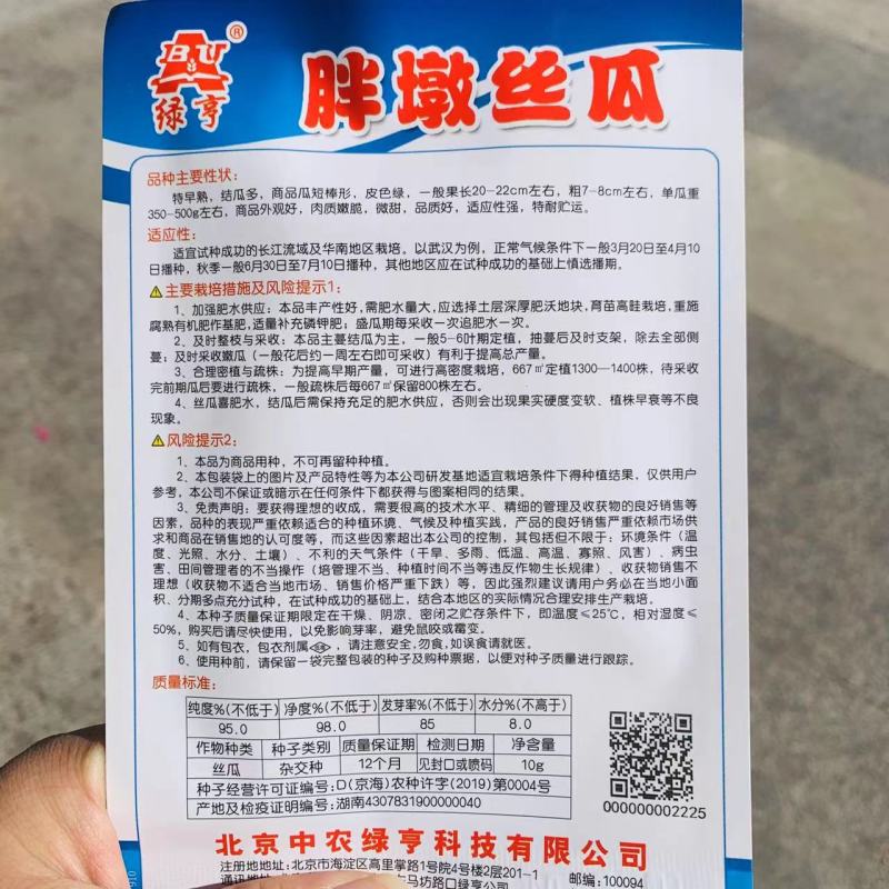 绿亨胖墩肉丝瓜种子特早熟结瓜多丝瓜新品种种子短棒丝瓜