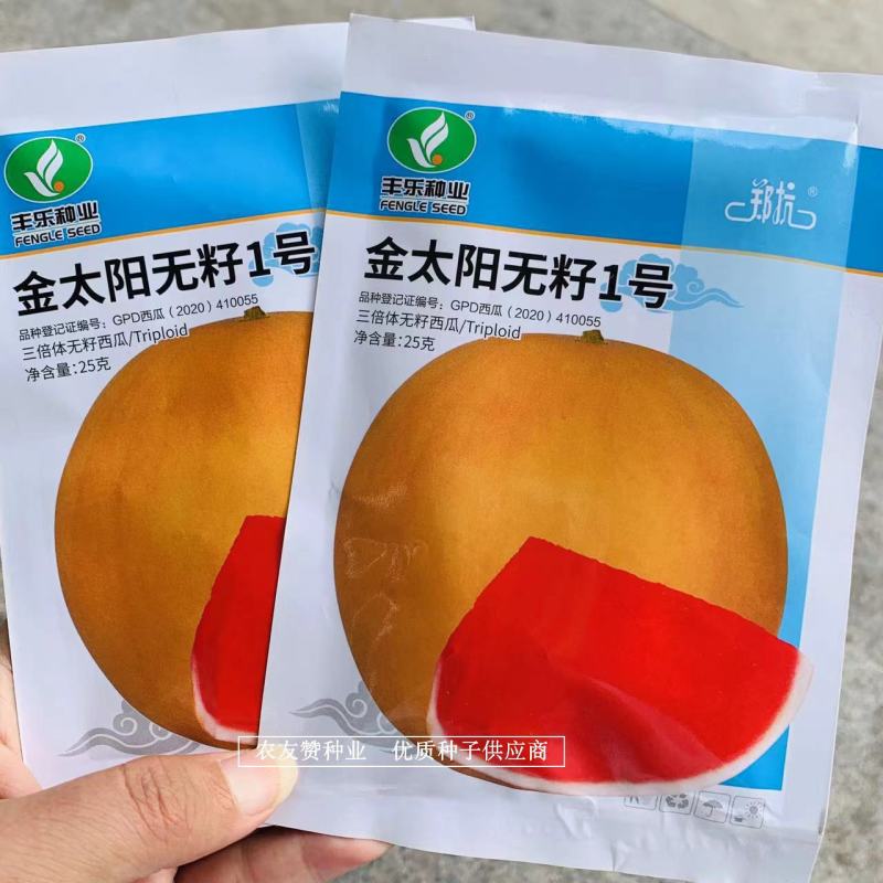 金黄皮红瓤无籽西瓜种子中熟礼品西瓜露地保护地专用品种
