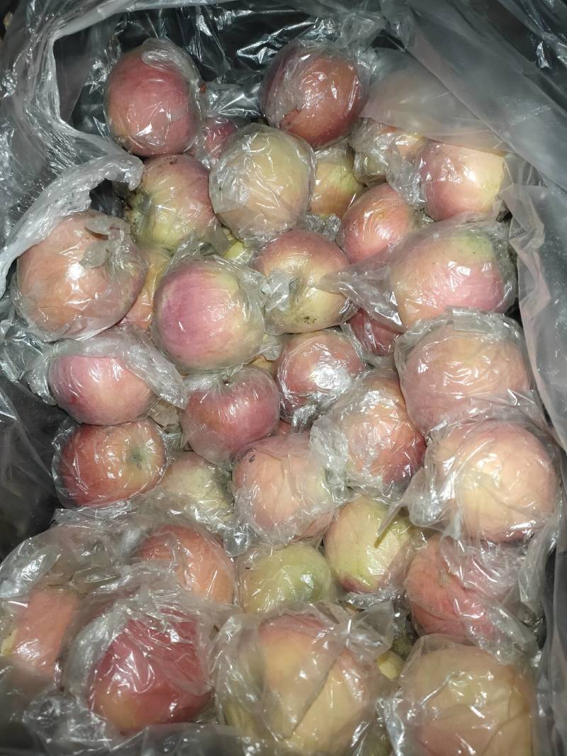 河北红富士单膜70-75/70-80小果筐装颜色红度大