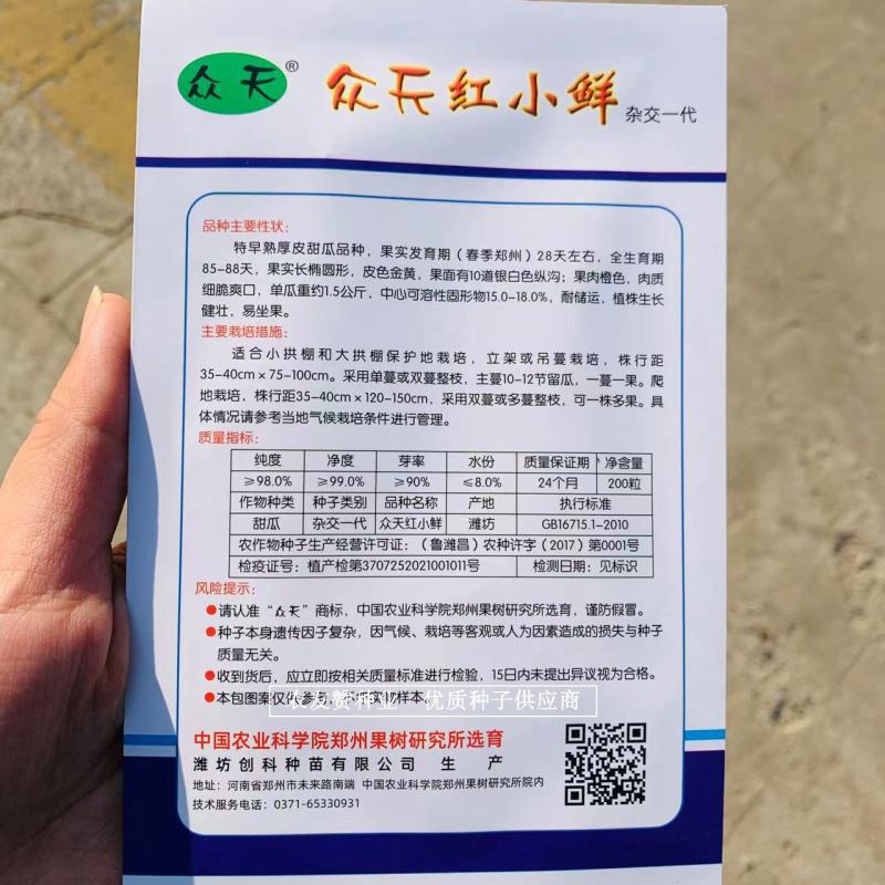 红肉中甜1号厚皮甜瓜种子红小鲜金黄皮红心甜瓜种子特早熟