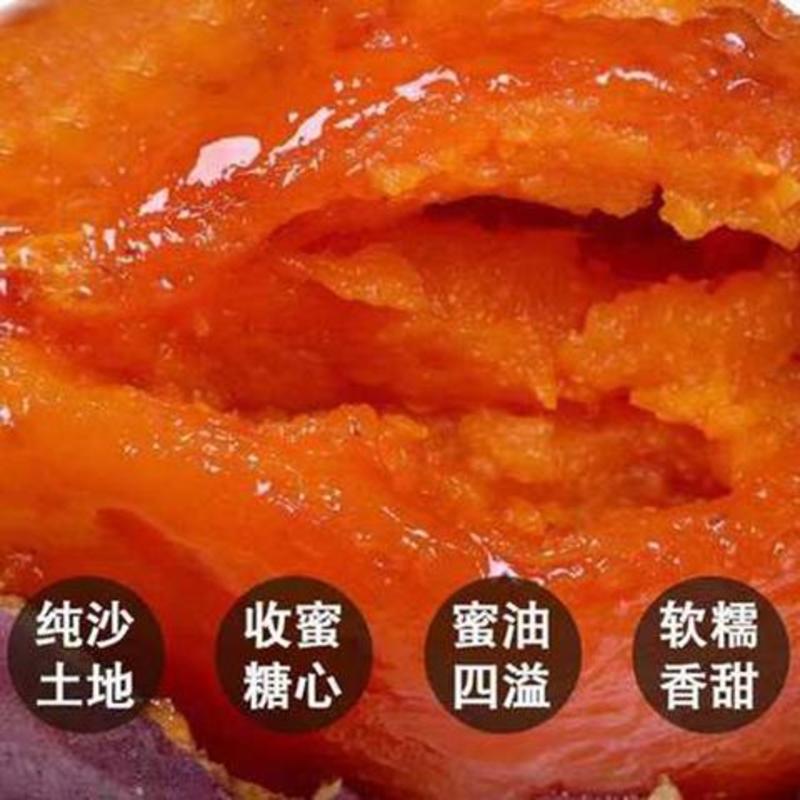河北省品种红皮红心甜度高软糯香甜可拉丝精选上等红皮红心