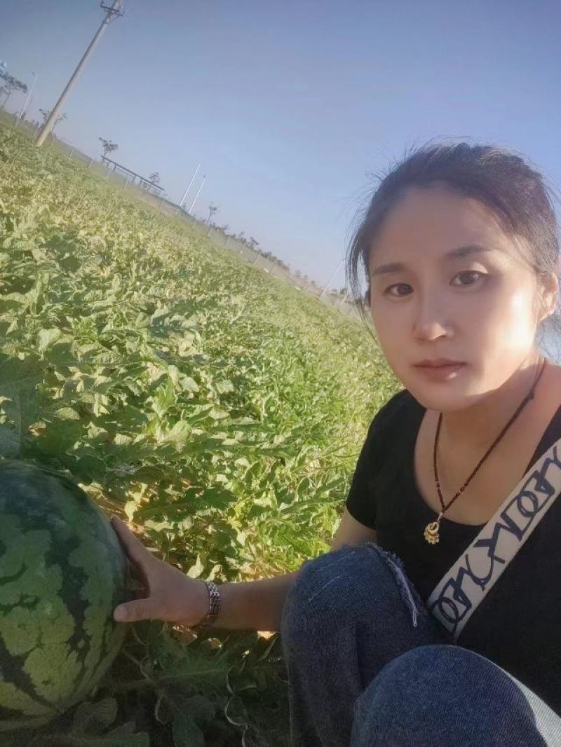 【优质】陕西甜王西瓜，大量上市，全国供应，