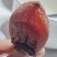 陕西富平柿饼