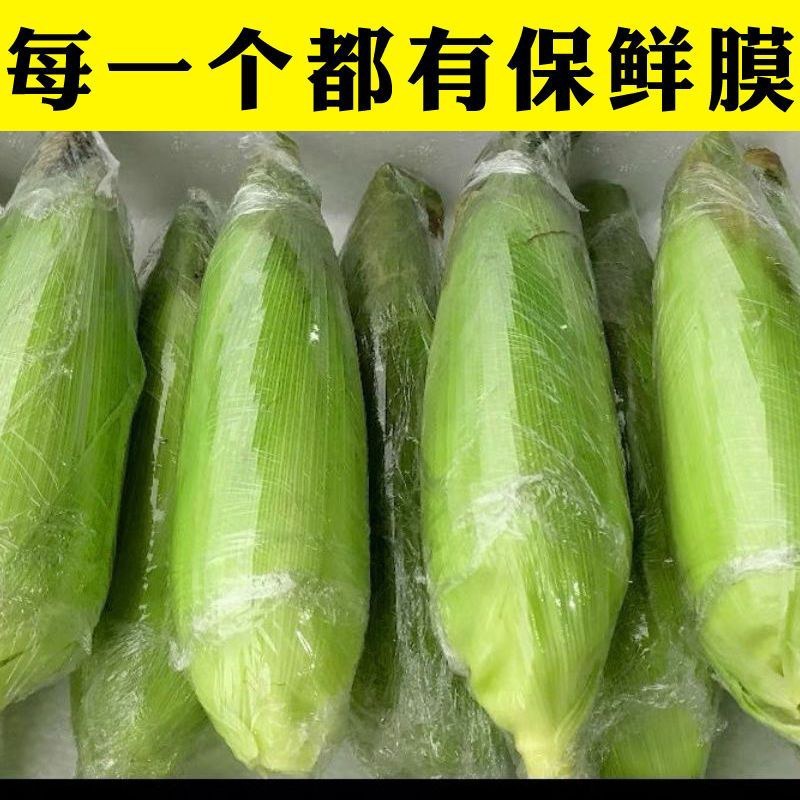 新鲜鲜玉米