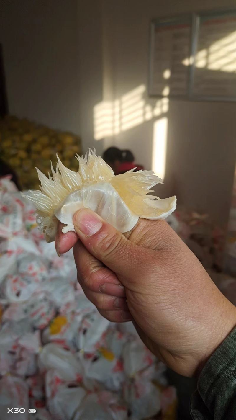 江永香柚，农户家看货一手货源欢迎各位老板咨询
