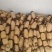 35大货莲藕，皮白肉嫩，个头大藕节圆，欢迎来电