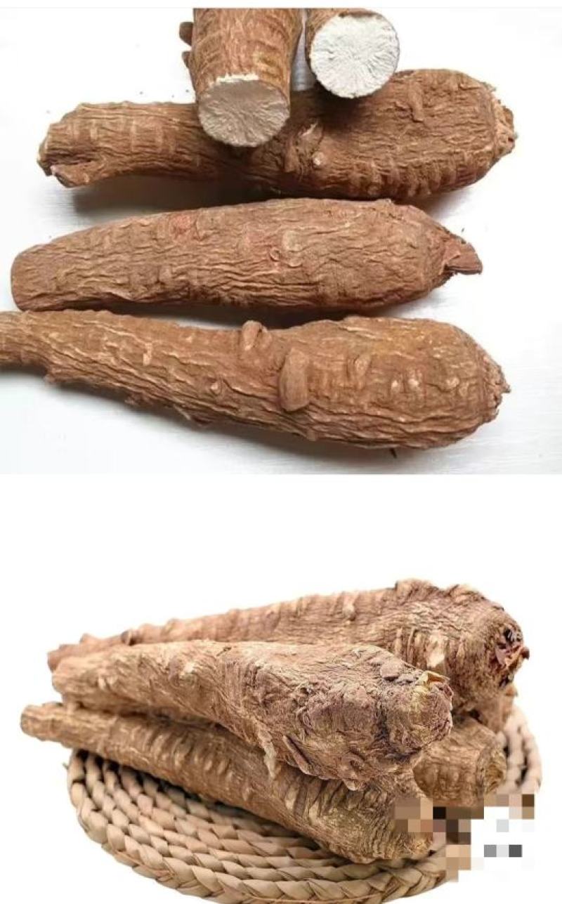 白芷